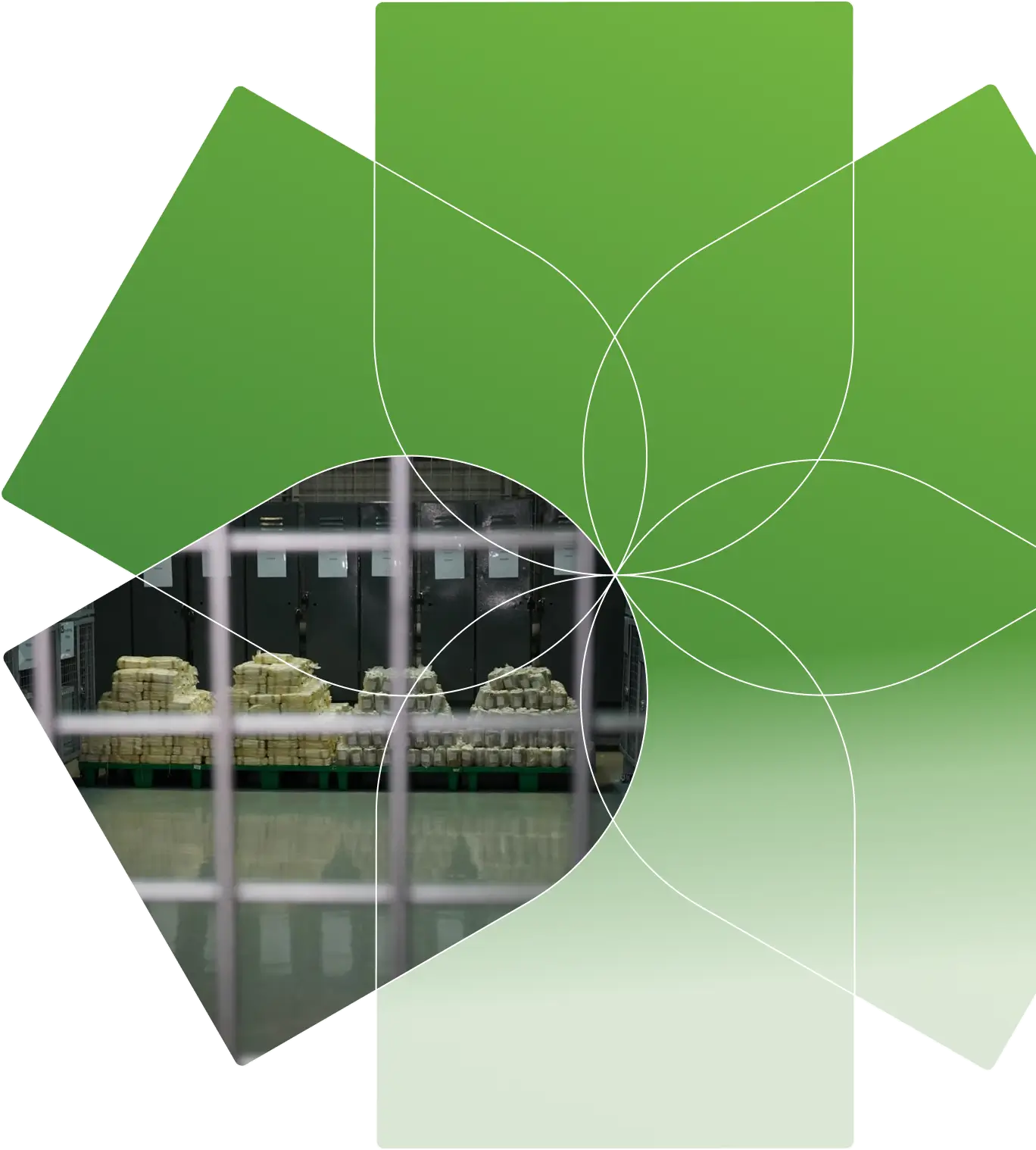 Уничтожение наркотических средств, психотропных веществ и их прекурсоров