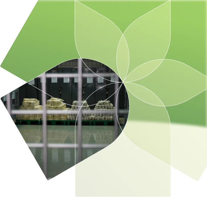 Уничтожение наркотических средств, психотропных веществ и их прекурсоров