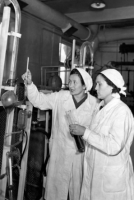 The Way to the Top of Quality: a Series of Historical Publications Dedicated to the 80th Anniversary of the Moscow Endocrine Plant